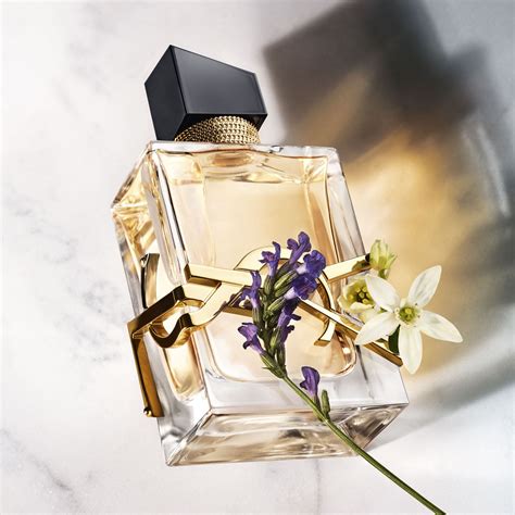nuovo libre ysl